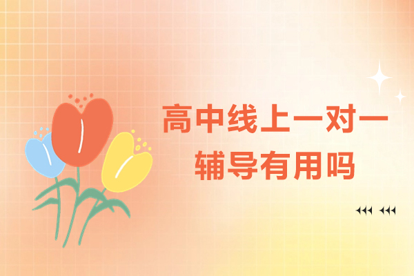 高中线上一对一辅导有用吗-高中线上一对一辅导好吗