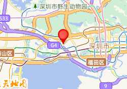 深圳派特森英语福田校区