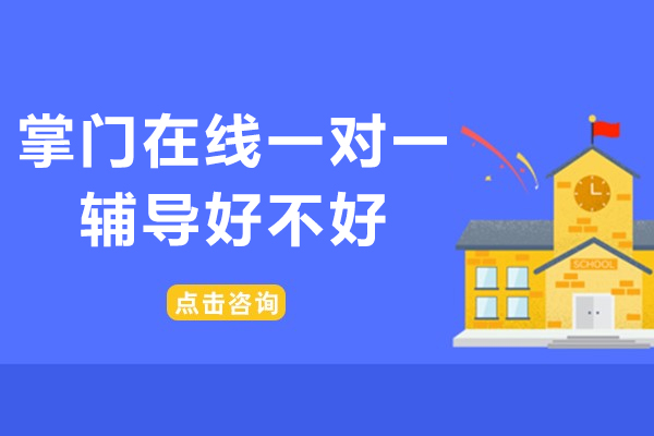 掌门一对一辅导真实效果深度解析