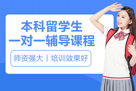 海外本科学术护航计划：定制化一对一辅导解决方案