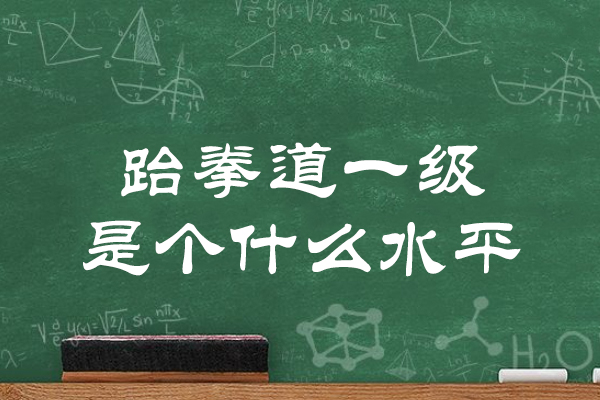 跆拳道一级是个什么水平