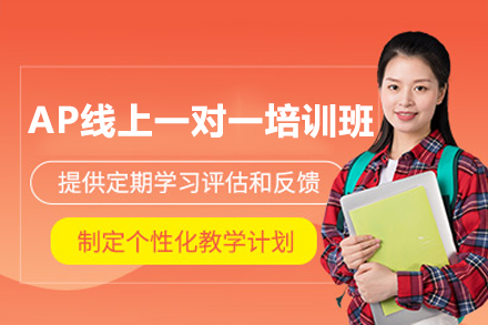 AP课程定制化在线辅导方案深度解析