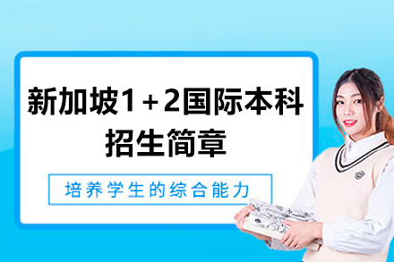 新加坡1+2国际本科项目解析 | 中外合作办学升学新路径