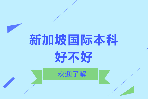 新加坡国际本科优势解析：教育质量与前景深度解读