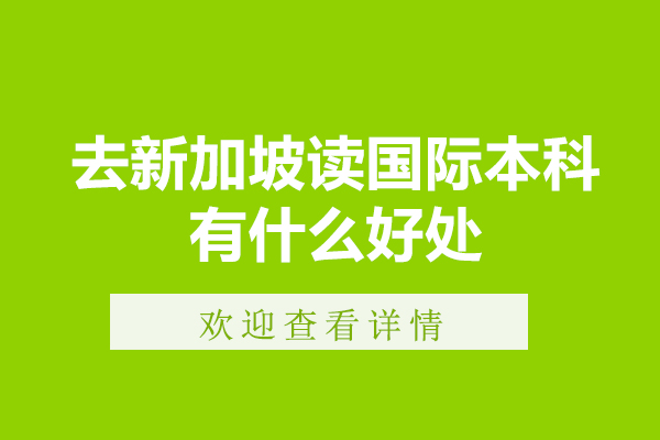 新加坡国际本科教育优势解析：培养全球竞争力的五大路径