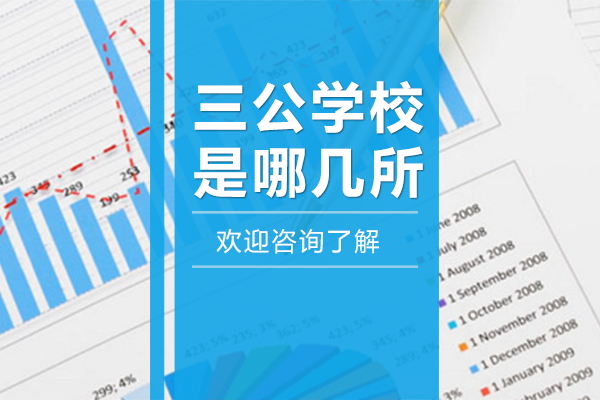 上海三公學(xué)校擇校全解析：特色課程與招生策略深度揭秘
