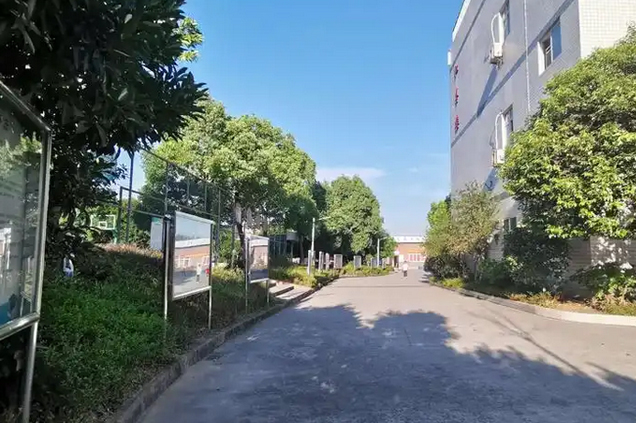 校园风景2