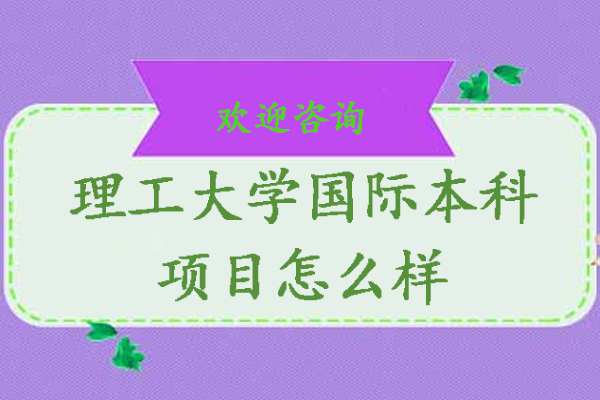 北京理工国际本科深度解析：3+1培养模式与名校直通车