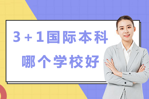 北京理工大学3+1国际本科项目深度解析：课程设置与升学路径全览