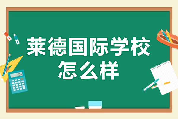 上海莱德国际学校教育特色深度解读