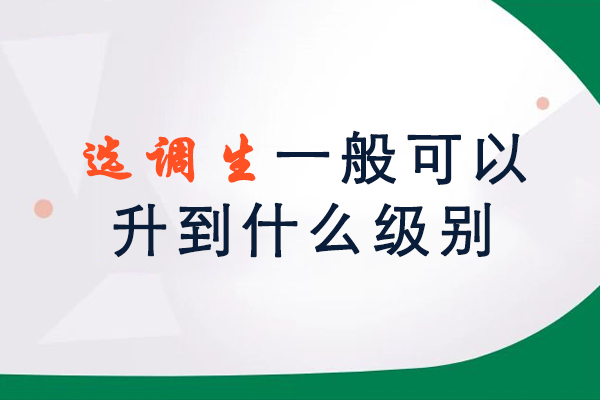 选调生一般可以升到什么级别