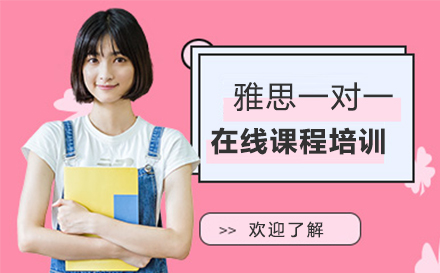 雅思一对一课程深度解析：灵活学习与专业辅导的完美结合