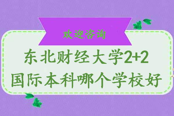 东北财经大学国际本科项目深度解析：2+2留学路径规划指南