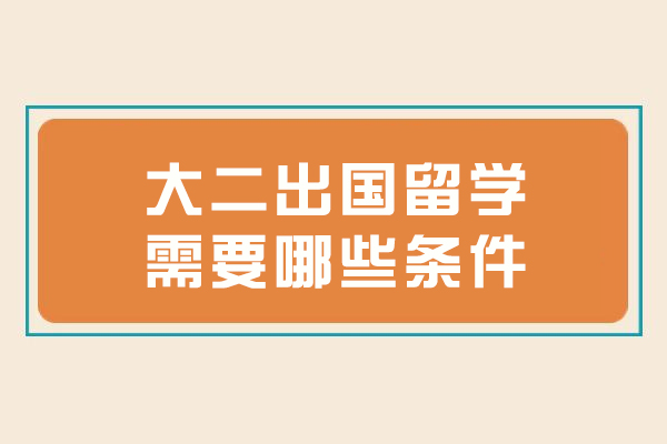 大二留学规划全解析：从学术准备到跨文化适应