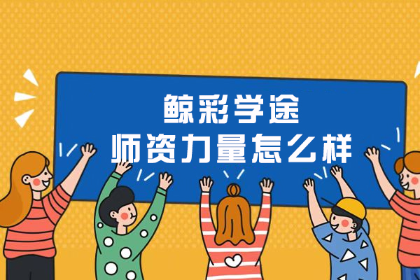 沈阳鲸彩学途教学团队深度解析：专业师资如何打造优质课堂