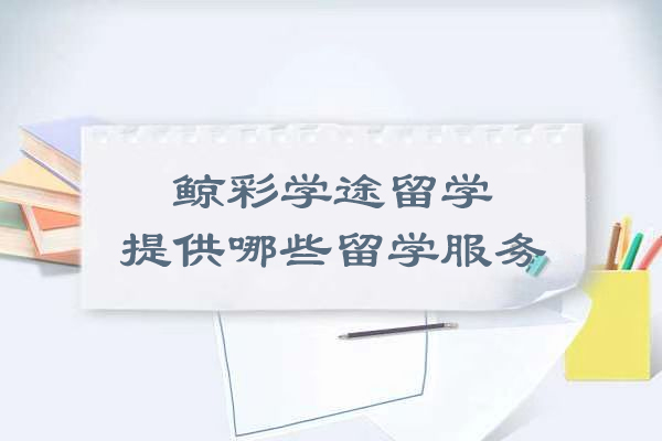 沈阳鲸彩学途留学服务全解析：五大核心模块深度解读
