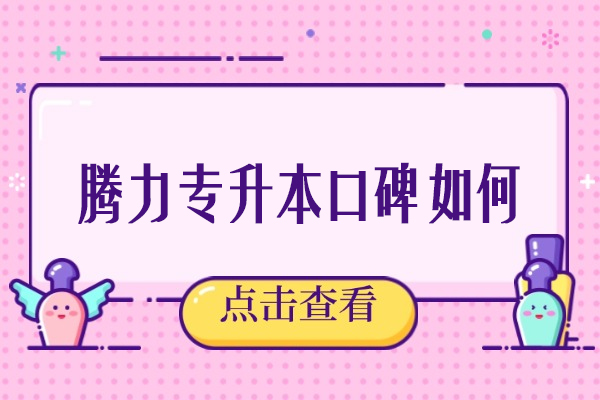 沈阳腾力专升本培训质量深度解析与学员真实反馈