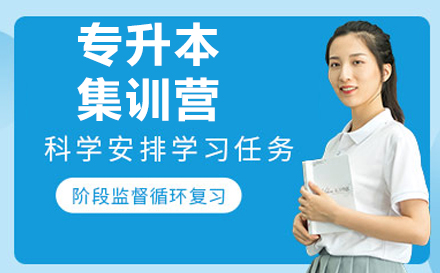 济南新东方专升本特训计划|全方位备考方案解析