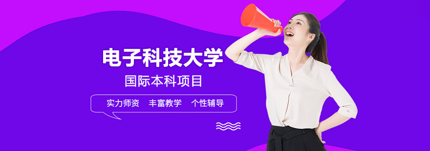 电子科技大学国际本科