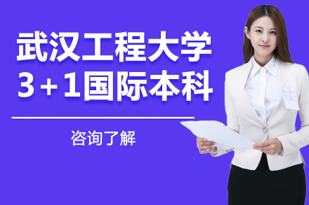 武汉工程大学3+1国际本科
