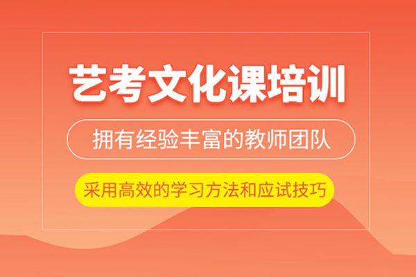 武汉艺考生文化课培训班