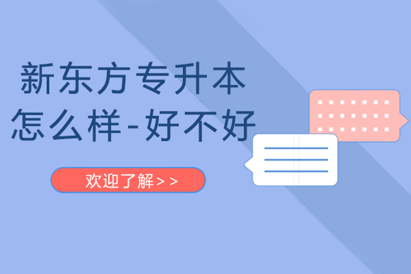 济南新东方专升本课程深度解析与报读指南