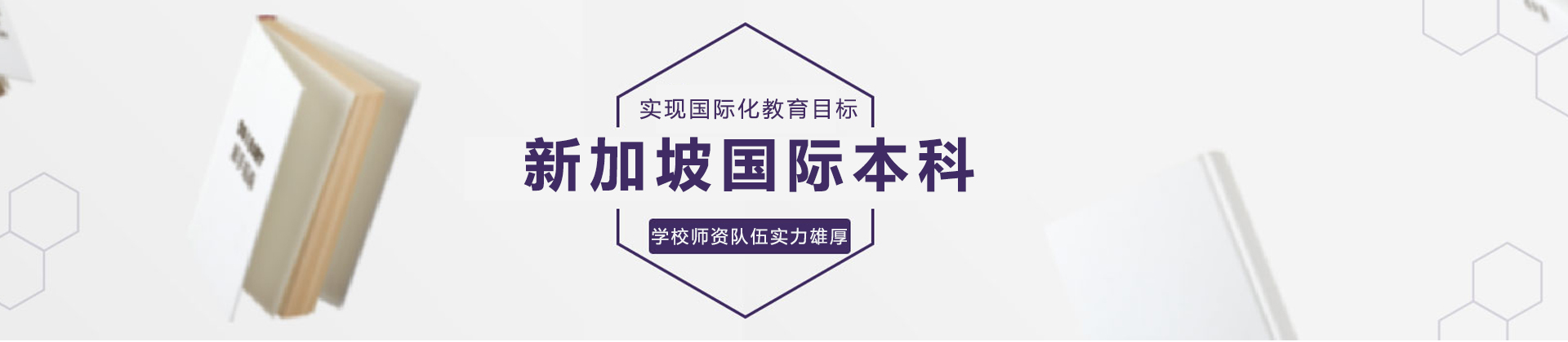 新加坡国际本科