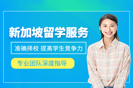 新加坡名校申请全攻略：维特利留学特色服务深度解析