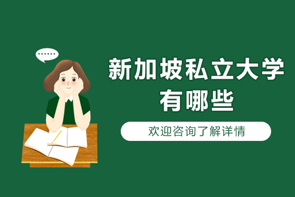 新加坡私立大学及热门专业深度解析