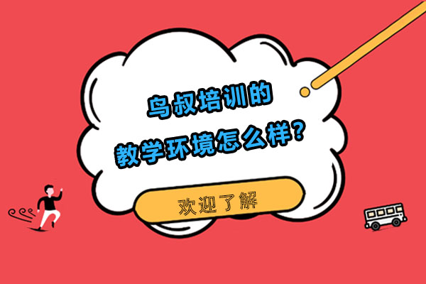 揭秘鸟叔培训教学实景：专业设备与人性化环境解析