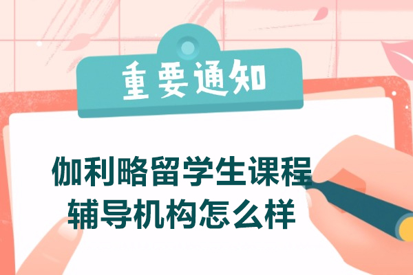 沈阳伽利略留学辅导机构全方位解析：教学特色与服务优势