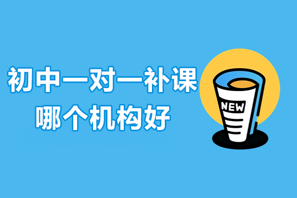 深圳初中一对一辅导机构推荐指南