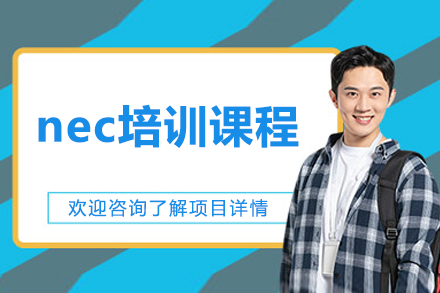 北京NEC经济学挑战赛培训课程深度解析