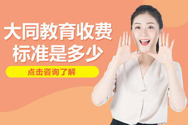 上海大同教育課程收費全解析：選班攻略與性價比指南