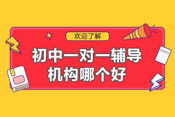 深圳初中个性化辅导优选方案深度解析