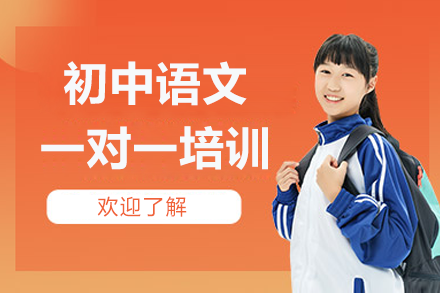 深圳初中语文定制辅导方案深度解析