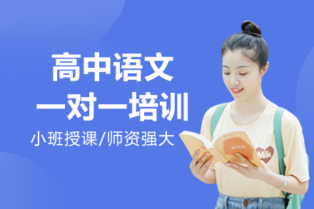 深圳高中语文特训课程深度解析：个性化辅导方案全揭秘