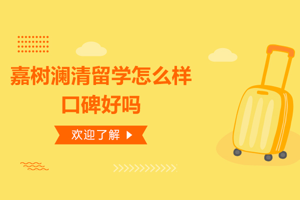 广州嘉树澜清留学机构专业解析：口碑评价与留学规划深度指南