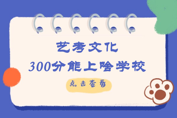 艺考文化300分能上啥学校