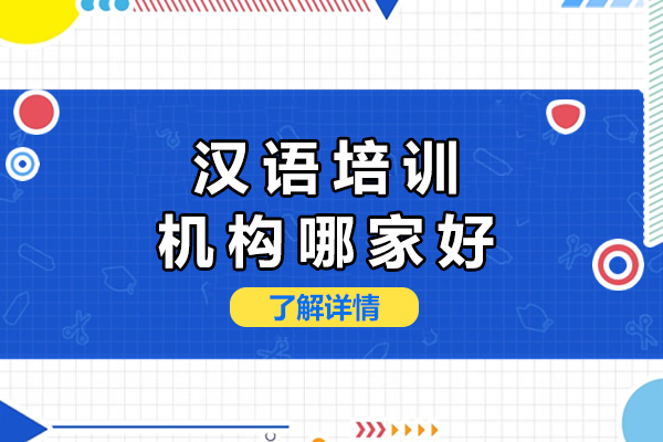 南宁专业中文培训机构深度解析：课程特色与教学优势