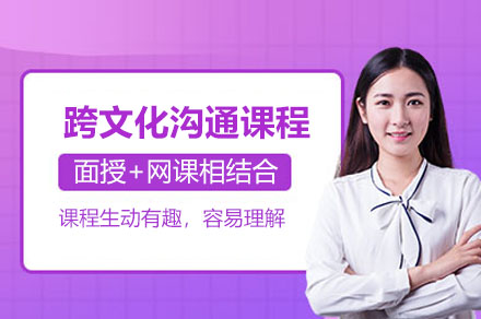 国际商务人士必备：九国跨文化沟通实战指南