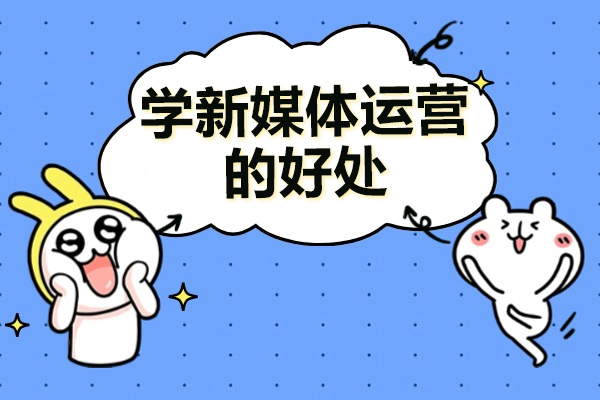 新媒体运营职业发展全解析：核心技能与前景深度解读
