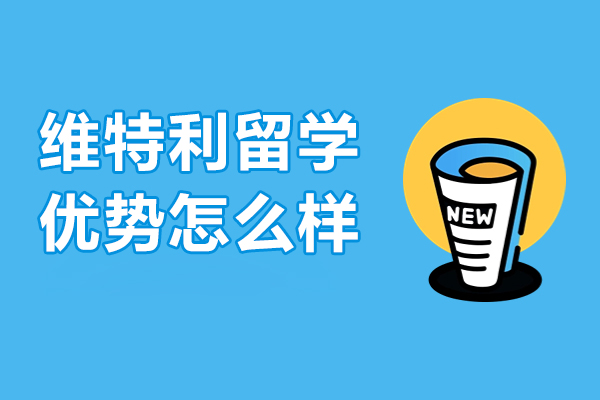 深圳高端留学申请机构深度解析|维特利留学核心竞争力揭秘