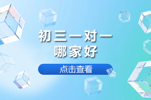 上海初三一对一辅导机构深度解析｜培优方案与提分效果揭秘