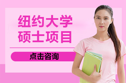 上海纽大硕士项目深度解析：双城教学与职业发展路径