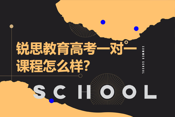 常州锐思教育高考冲刺班深度解析：个性化辅导如何助力名校突破