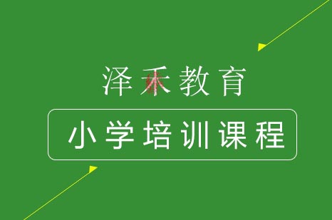 北京泽禾教育小学全科辅导课程解析