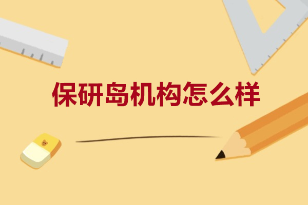 保研岛机构深度解析：保研辅导实力与学员成功率揭秘
