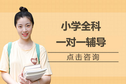北京小学定制化辅导方案深度解析