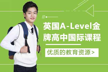 启东A-Level课程深度解析：直通世界名校的金钥匙